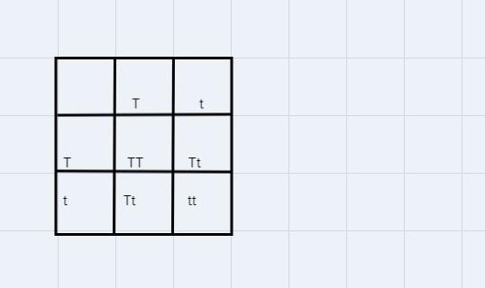 A plant can have either tall (T) stems or short (t) stems. Two plants are crossed-example-1