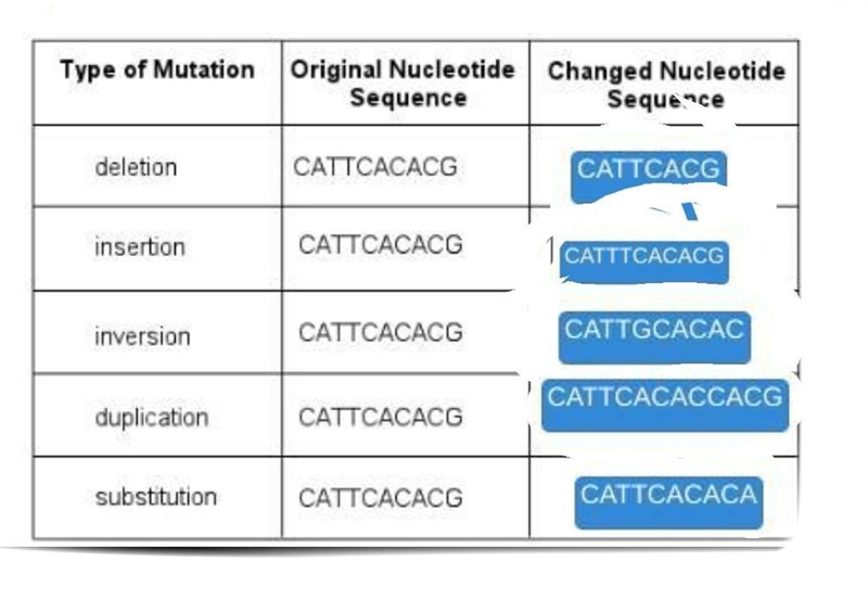 Match the changed nucleotide sequences to the mutations that cause them.-example-1