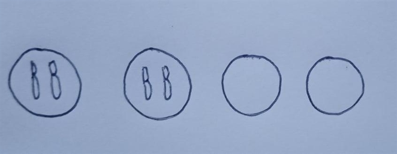 Complete the chart to show the daughter cells that would result from each type of-example-2