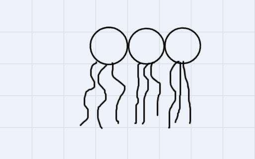 Draw the structure of a phospholipid-example-1