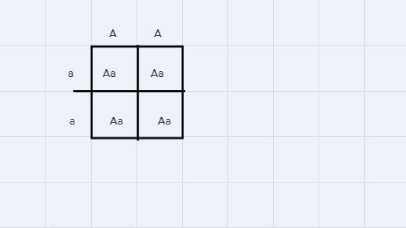 If a homozygous dominant pea plant and a homozygous recessive pea plant arecrossed-example-1