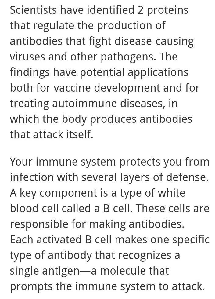 Which type of protein will fight disease-example-1