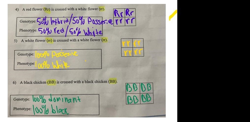 I need help with 4,5 and 6-example-1