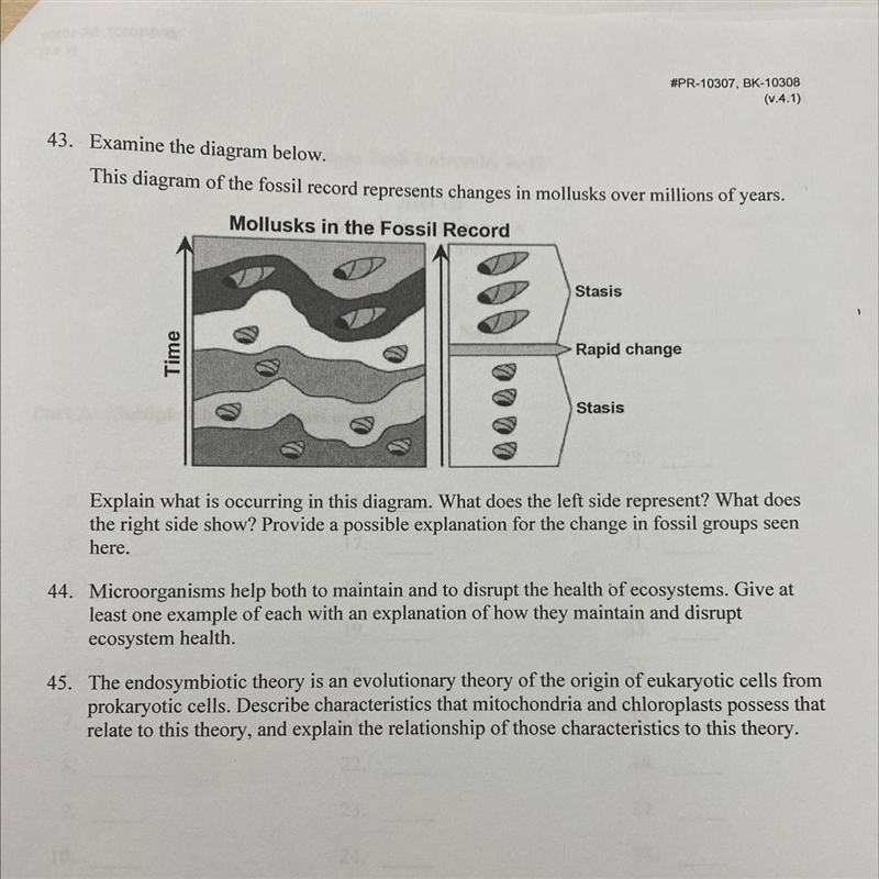 43. Explain what it's ocurring in this diagram. What does the left side represent-example-1