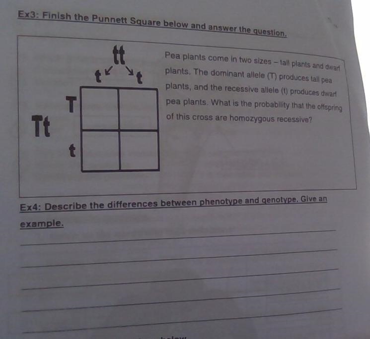 Help me please hurry up fr :(-example-1