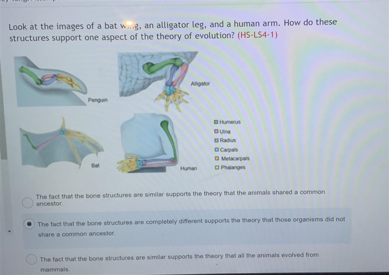 Hello I need to double check if I’m right with this question please and thank you-example-1