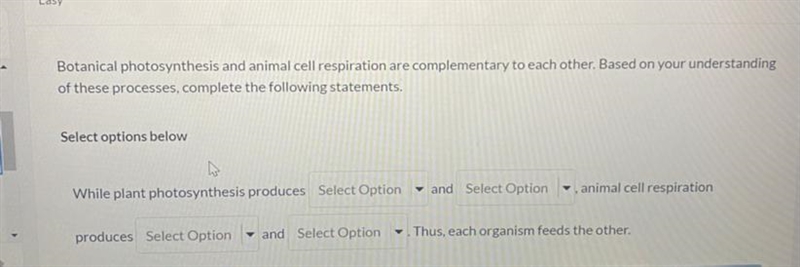 How do I answer this question?Blank one options:OxygenCarbon dioxideWaterBlank two-example-1