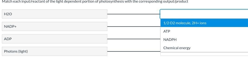 Match each input/ reactant of the light dependent portion of photosynthesis with the-example-1