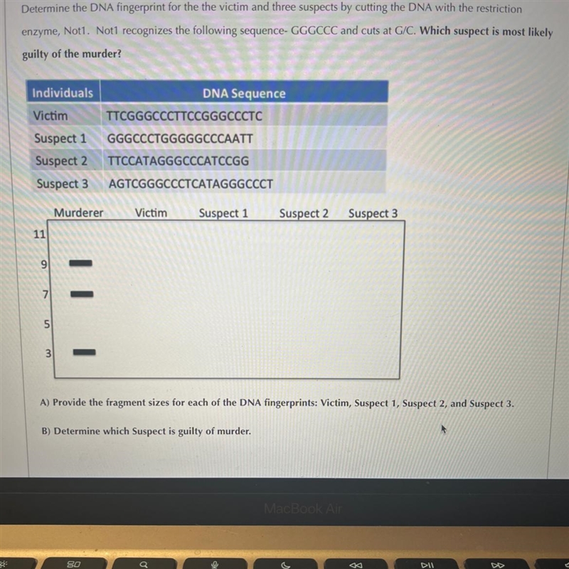 Determine the DNA fingerprint for the the victim and three suspects by cutting the-example-1