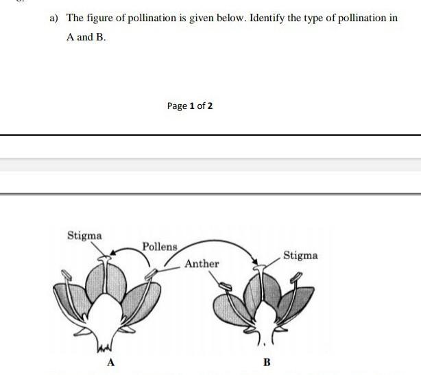 Answer the following ​-example-1