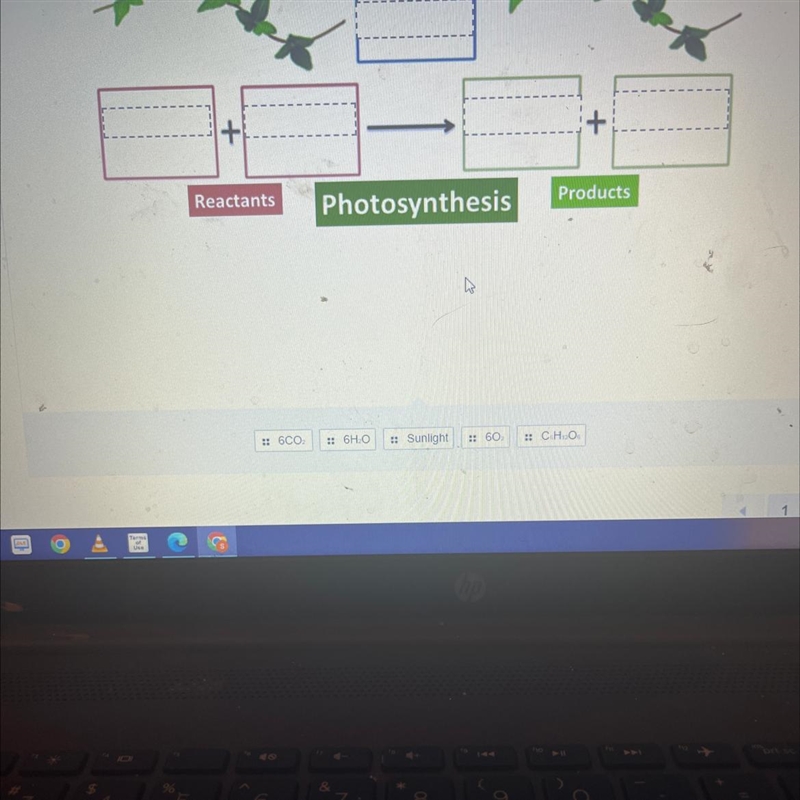 Place the labels in the correct area for the equation for photosynthesis-example-1