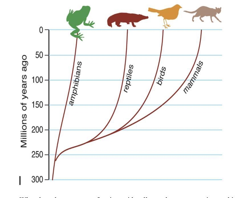 (40 points) Look at the diagram below. Which animals are most closely related? Which-example-1