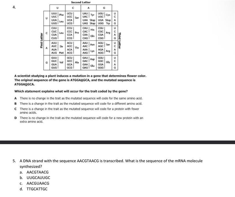 A scientist studying a plant induces a mutation in a gene that determines flower color-example-1