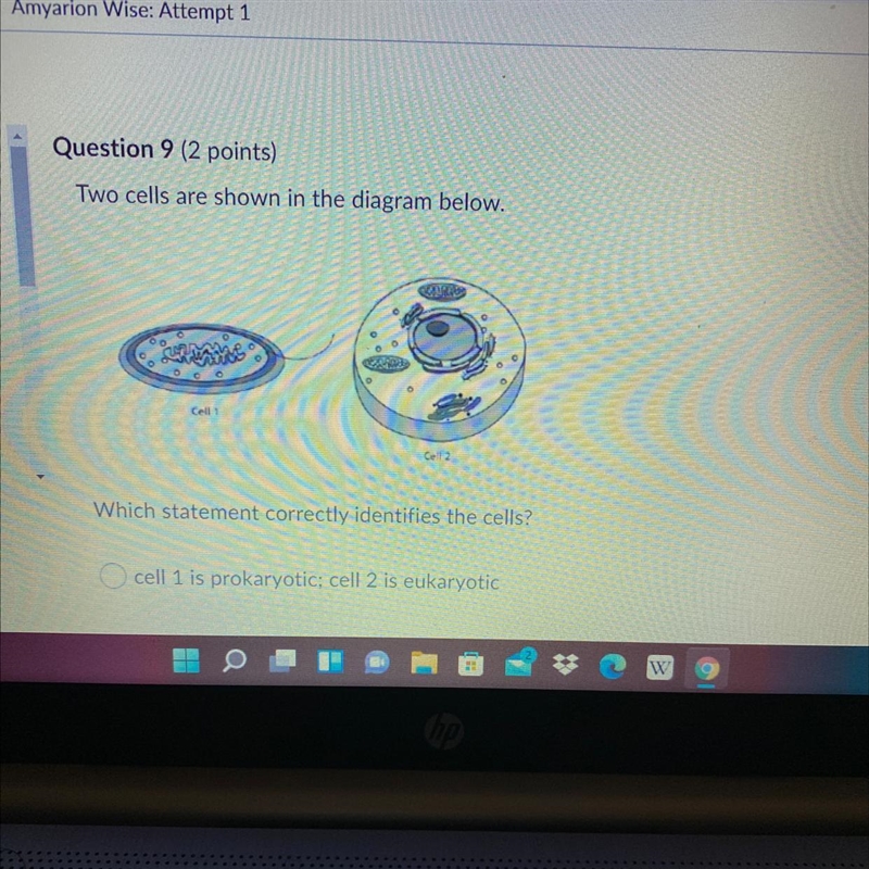 HELP 50 POINTS !! Which statement correctly identifies the cells? A). cell 1 is prokaryotic-example-1