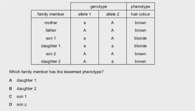 The table shows the genotypes and phenotypes for hair colour for the members of a-example-1