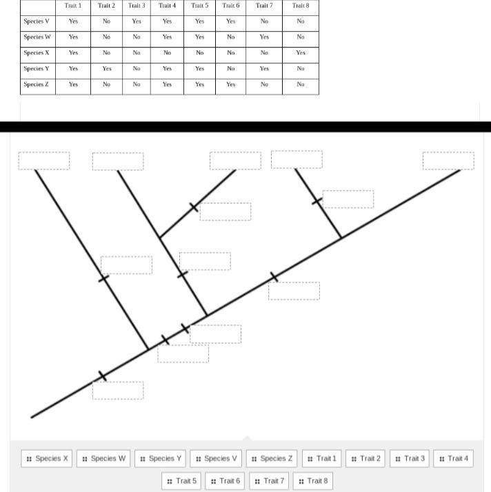 Can anyone please help me fill in my cladogram diagram-example-1