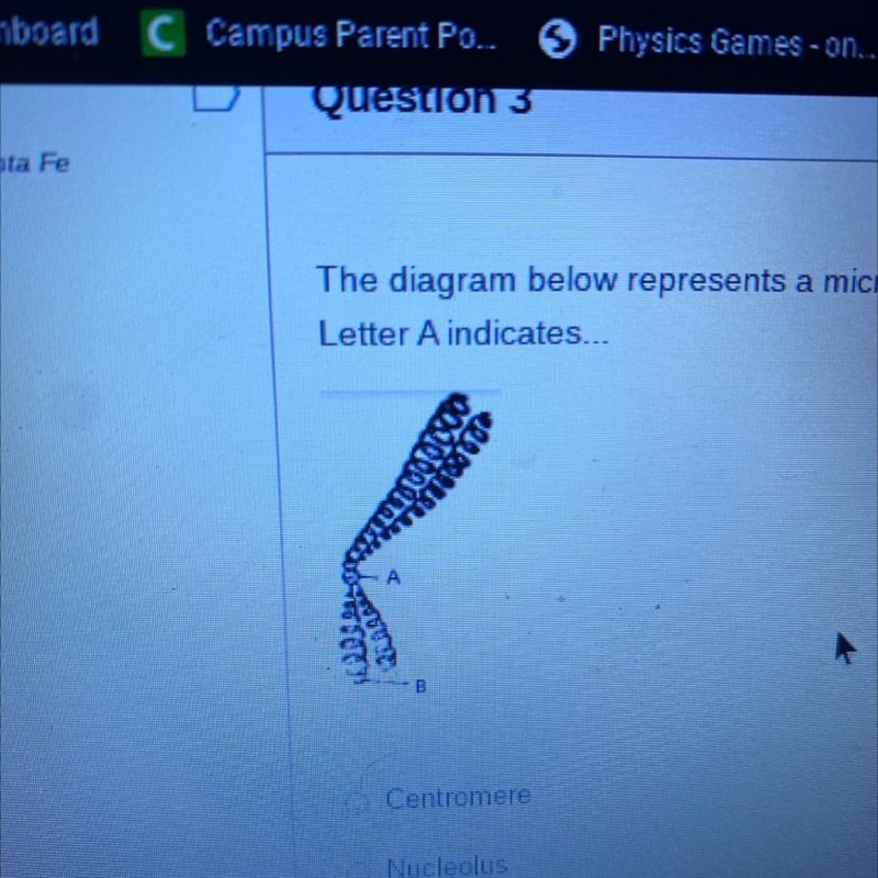 The diagram below represents a microscopic structure observed during the process of-example-1