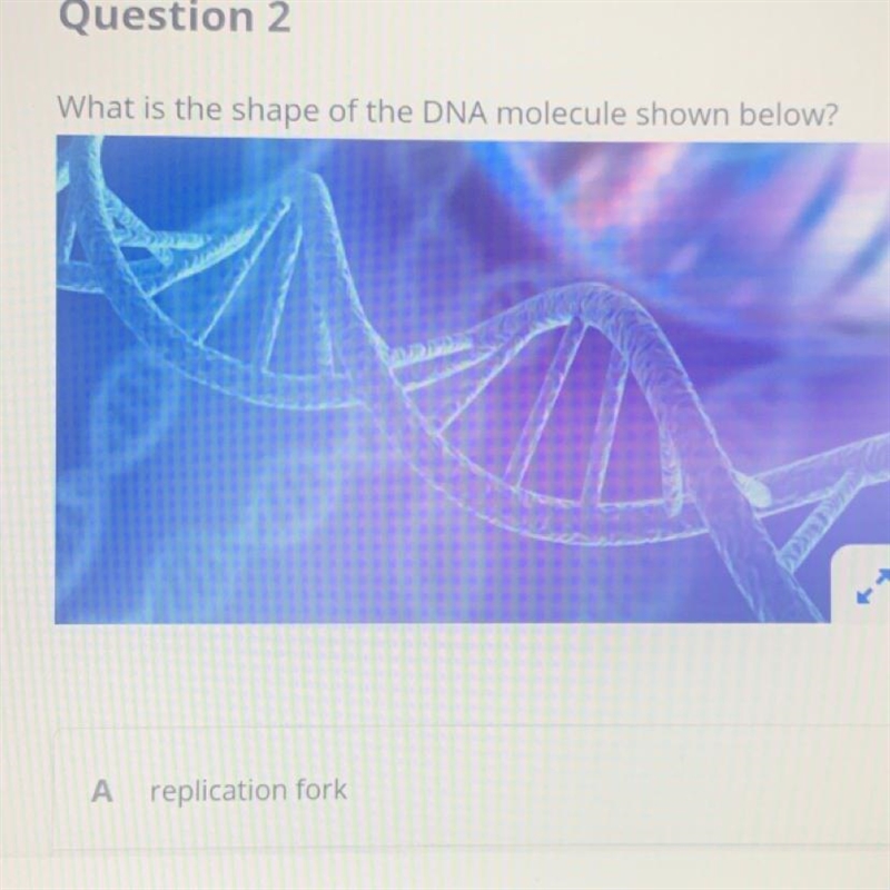 What is the shape of the dna please help the choices are a - replication fork b- pryimidine-example-1