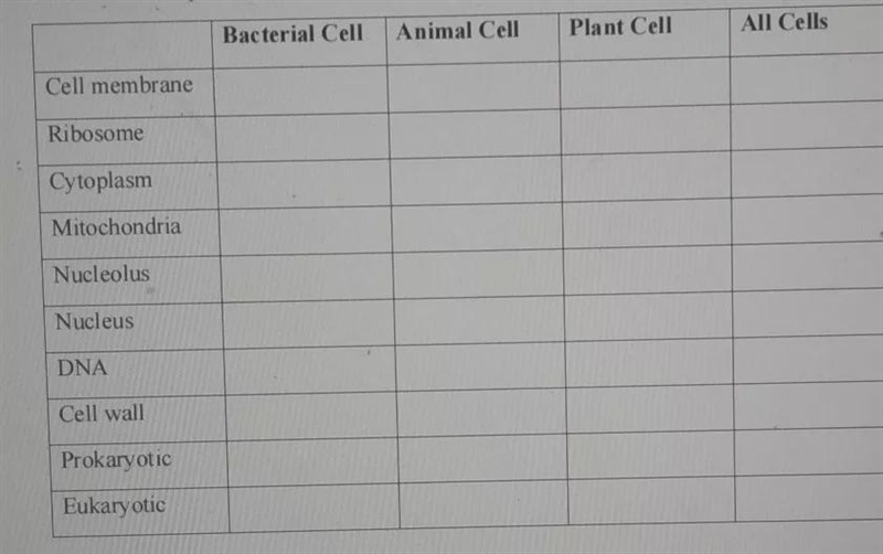 Complete the table below by writing Y for a Yes and N for a NO.-example-1