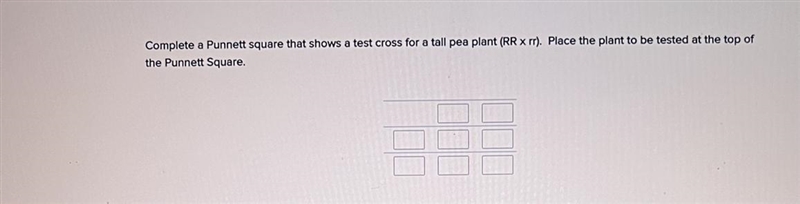 Complete a Punnett square that shows a test cross for a tall pea plant (RR x rr). Place-example-1