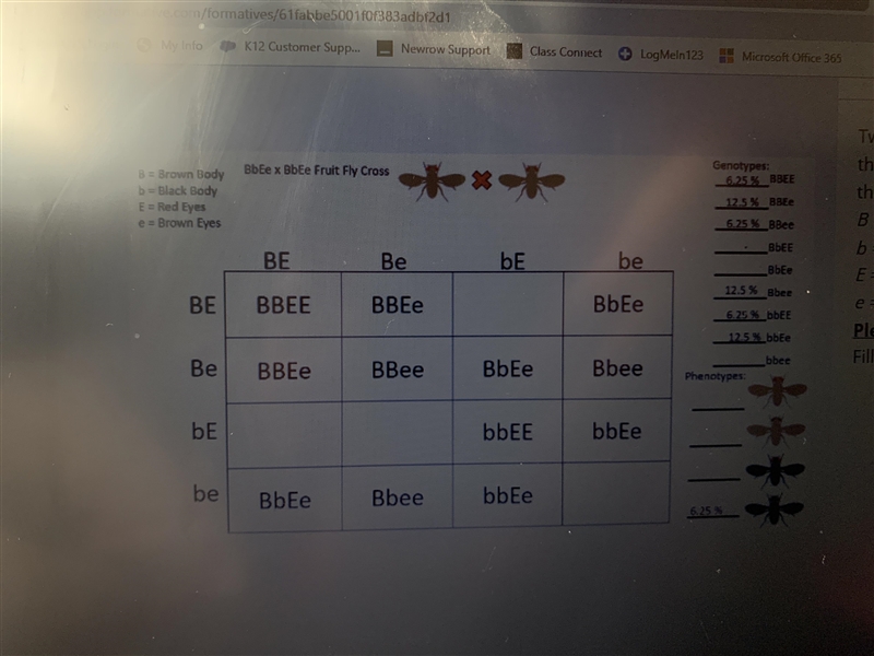 Two fully heterozygous fruit flies are crossed. Complete the Punnett square and provide-example-1