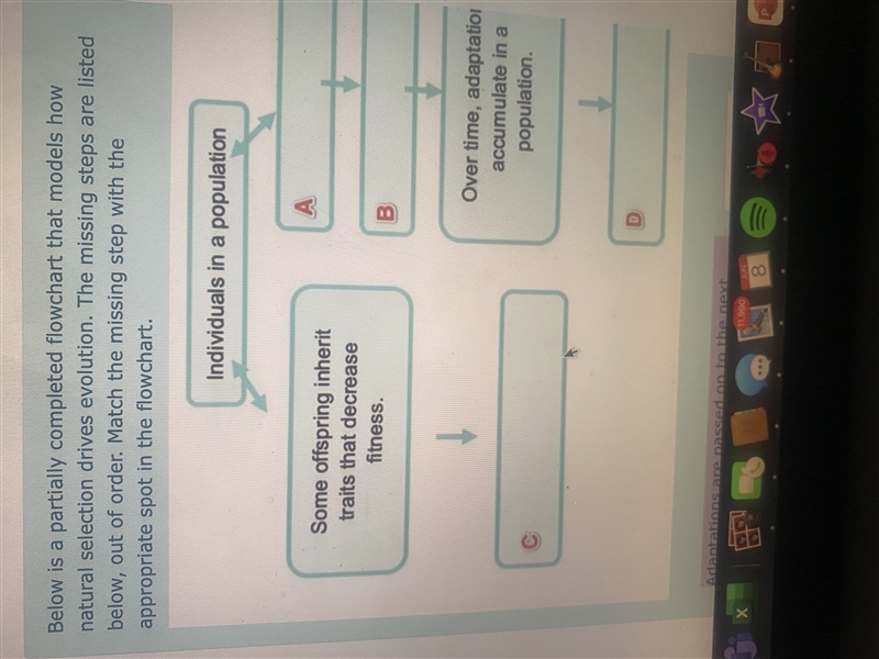 Below is a partially completed flowchart that models how natural selection drives-example-1