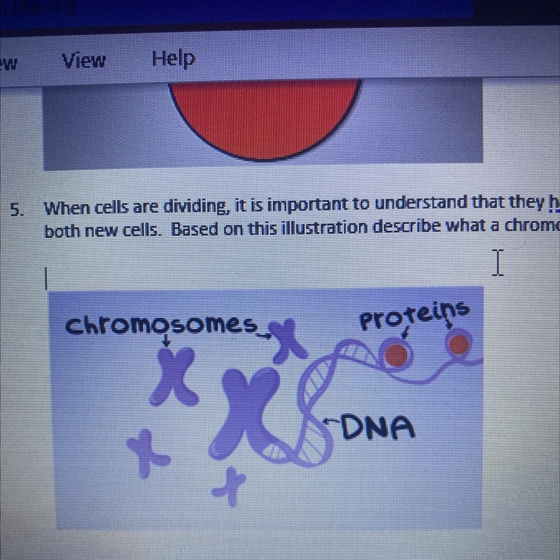 When cells are dividing it is important to understand that they have to move chromosomes-example-1