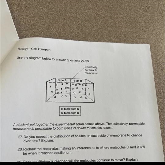 A student put together the experimental setup shown above. The selectively permeable-example-1