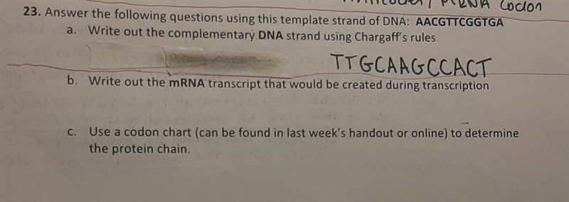 HELPPPP i don't understand these two bottom question​-example-1