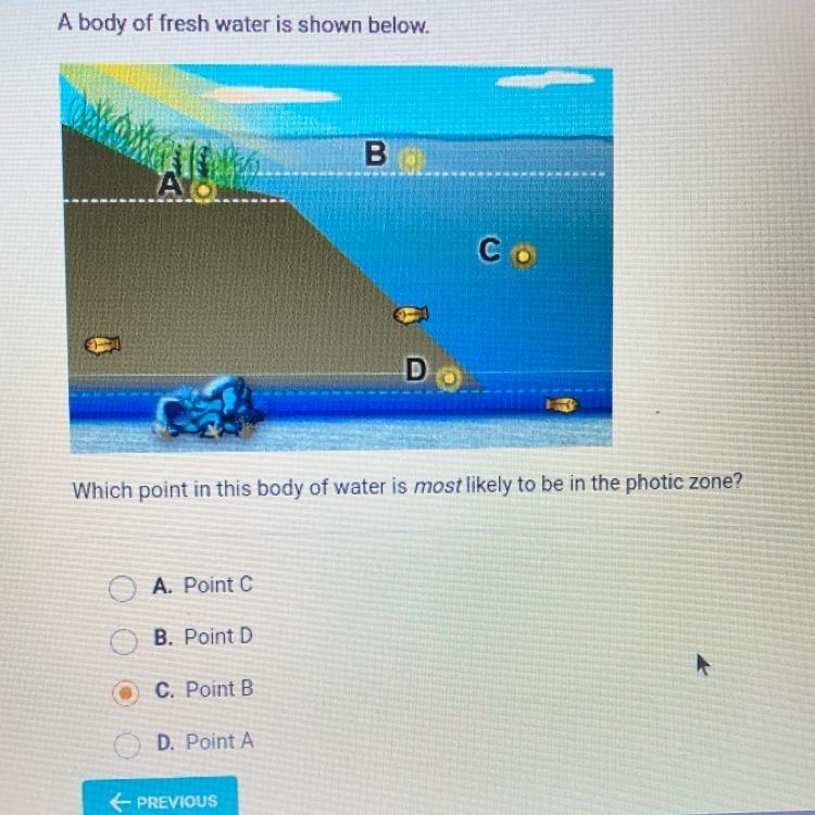 Which point in this body of water is most likely to be in the photic zone?A. Point-example-1