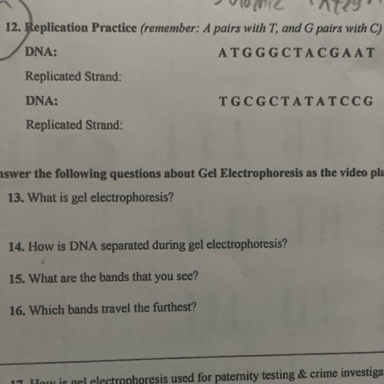 2 questions- Replication Practice (remember: A pairs with T, and G pairs with C) 1. ATGGGCTACGAAT-example-1