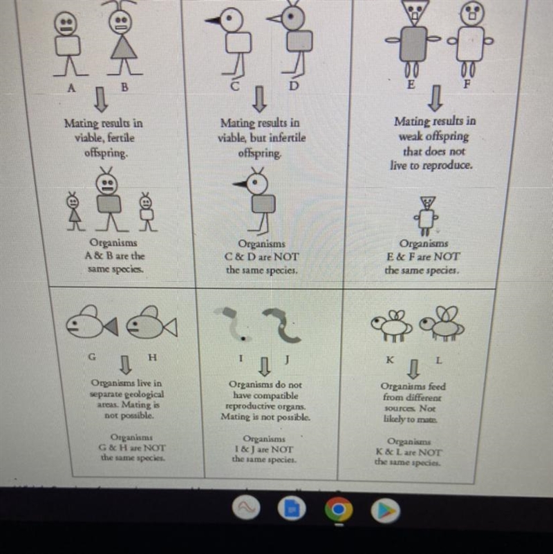 use the picture provided to help explain which three pairs of organisms are able to-example-1