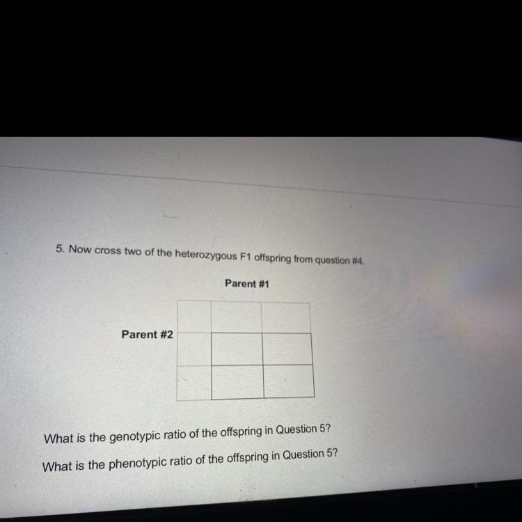 Cross two of the heterozygous F1 offspring Yy x Yy.What is the genotypic ratio of-example-1