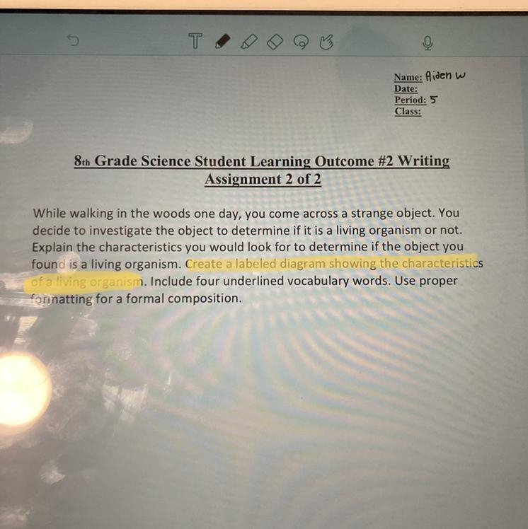 Pls help with the highlighted just send me a pic on safari or something.-example-1