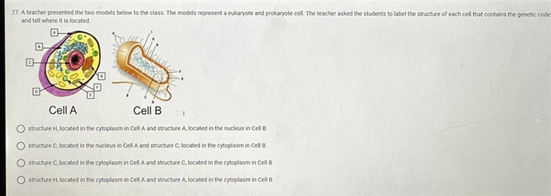 A teacher presented the two models below to the class. The models represent a eukaryote-example-1