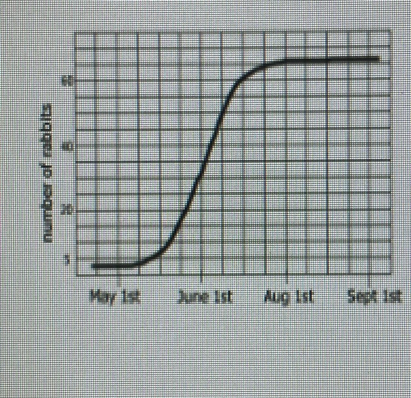 Looking at the graph, what is the total carrying capacity of the rabbits?-example-1