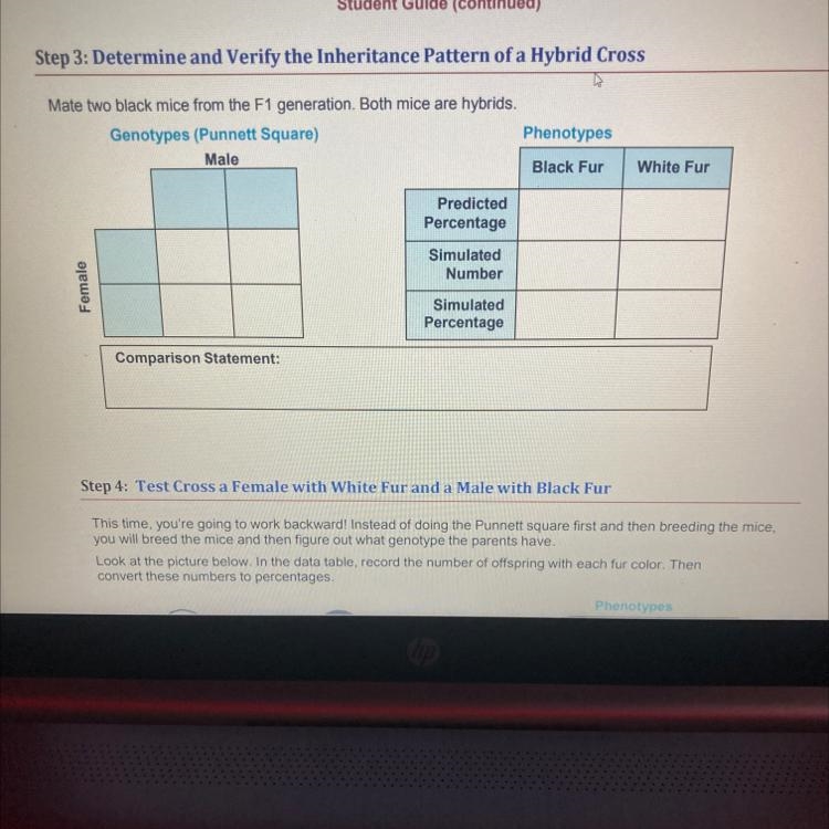 could someone please give me the answer to these two boxes ? I am very behind with-example-1