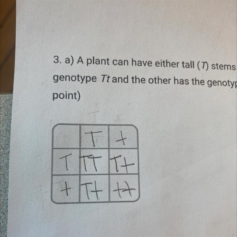 A plant can have either tall (T) stems or short (t) stems. Two plants are crossed-example-1