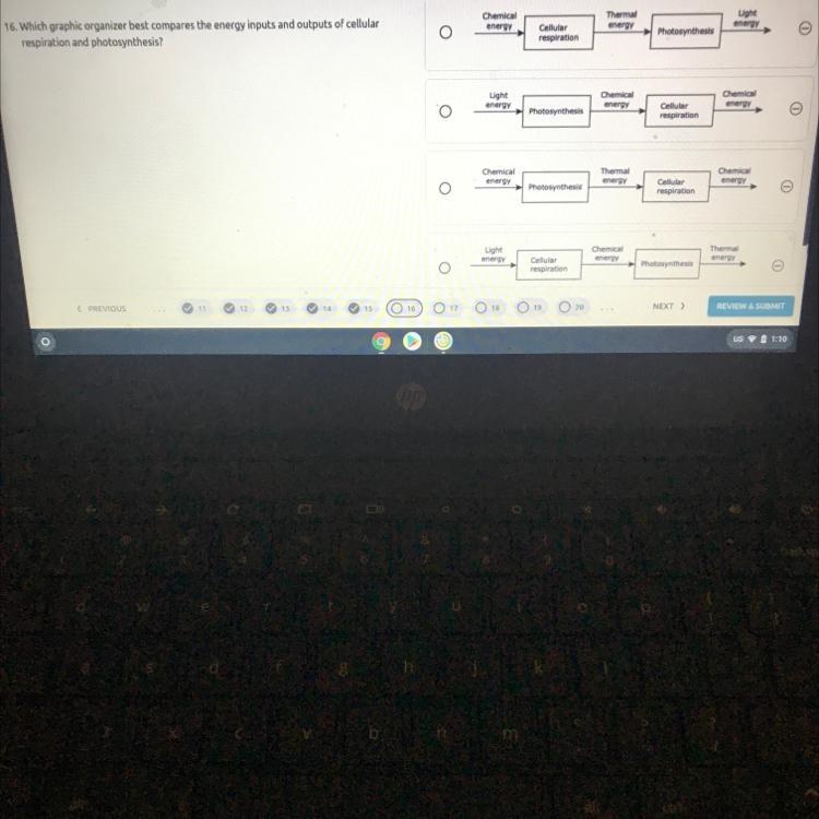 Which graphic organizer best compates the energy imputs and outputs of cellular respiration-example-1