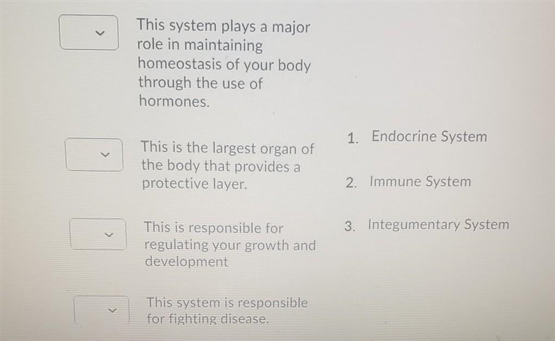 Match the correct system with the correct functions.​-example-1