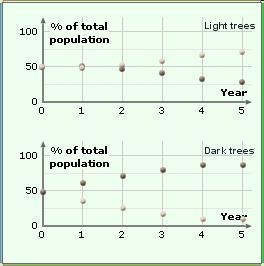 Using the graphs below, which group of moths is better adapted to survive the hunting-example-1