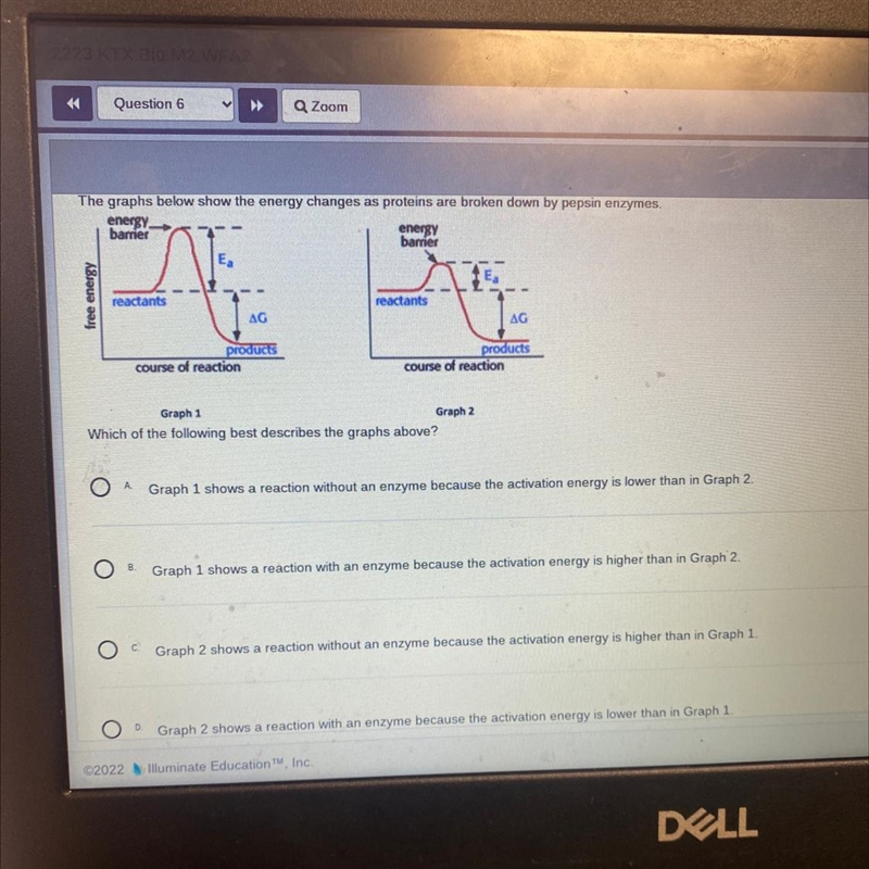 The graphs below show the energy changes as proteins are broken down by pepsin enzymes-example-1