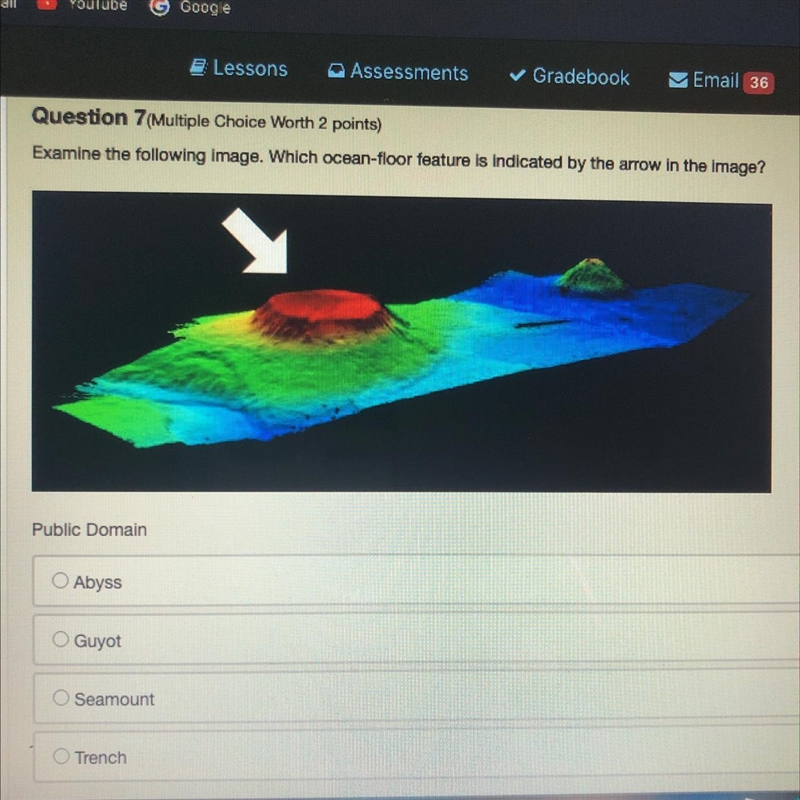 Examine the following image. Which ocean-floor feature is indicated by the arrow in-example-1