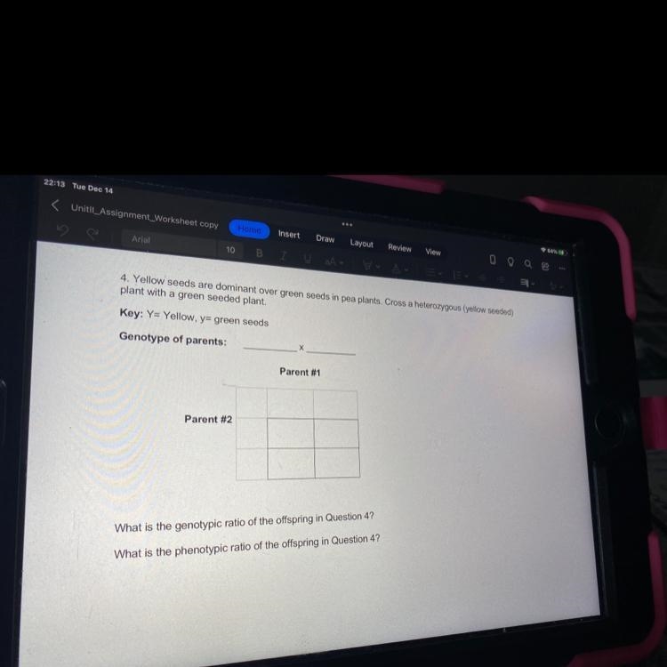 How do I fill this Punnett Square out? I don’t understand it.-example-1