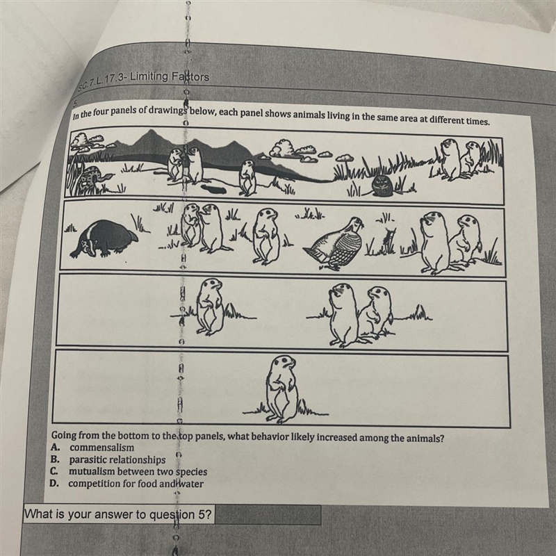 Going from the bottom to the top panels, what behavior likely increased among the-example-1