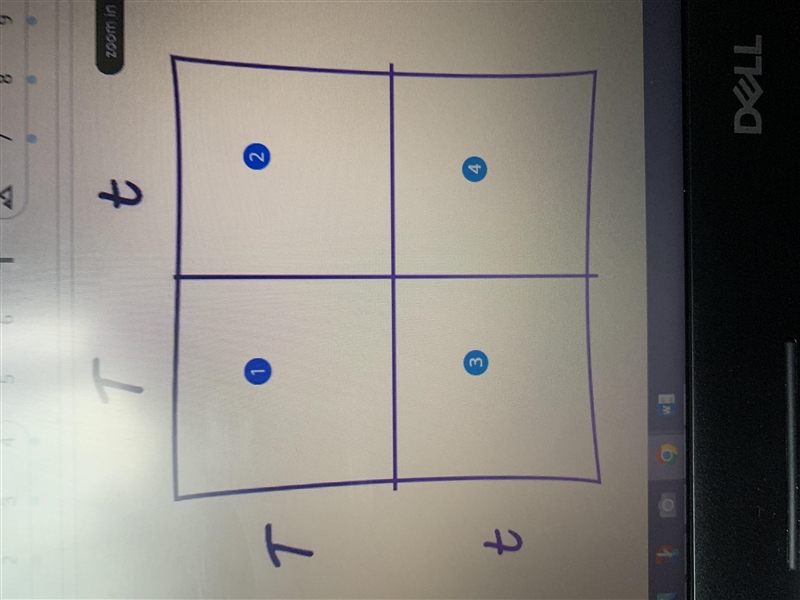 Based on the Punnett square above, what is the probability that an offspring from-example-1