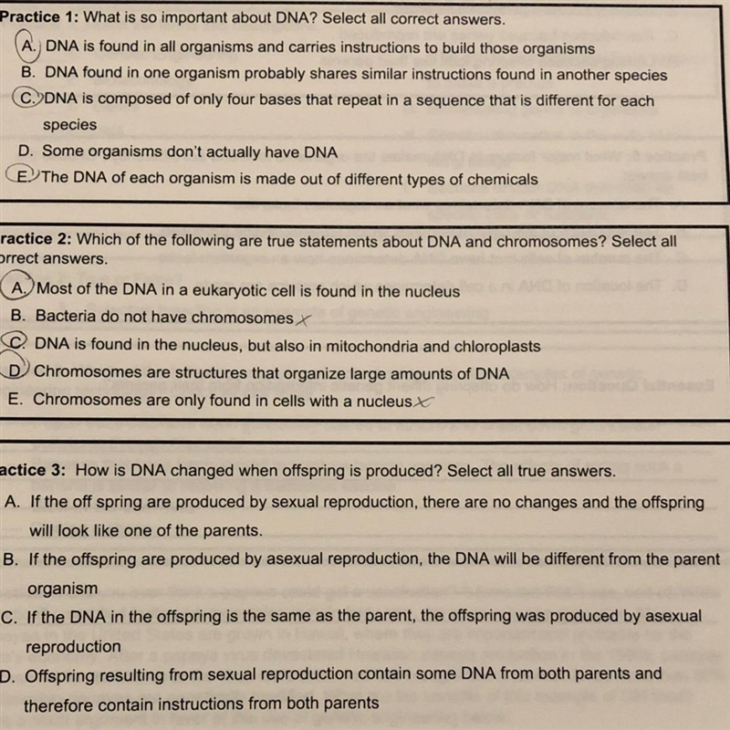 Practice #3 how is dna changed when offering is reproduced-example-1