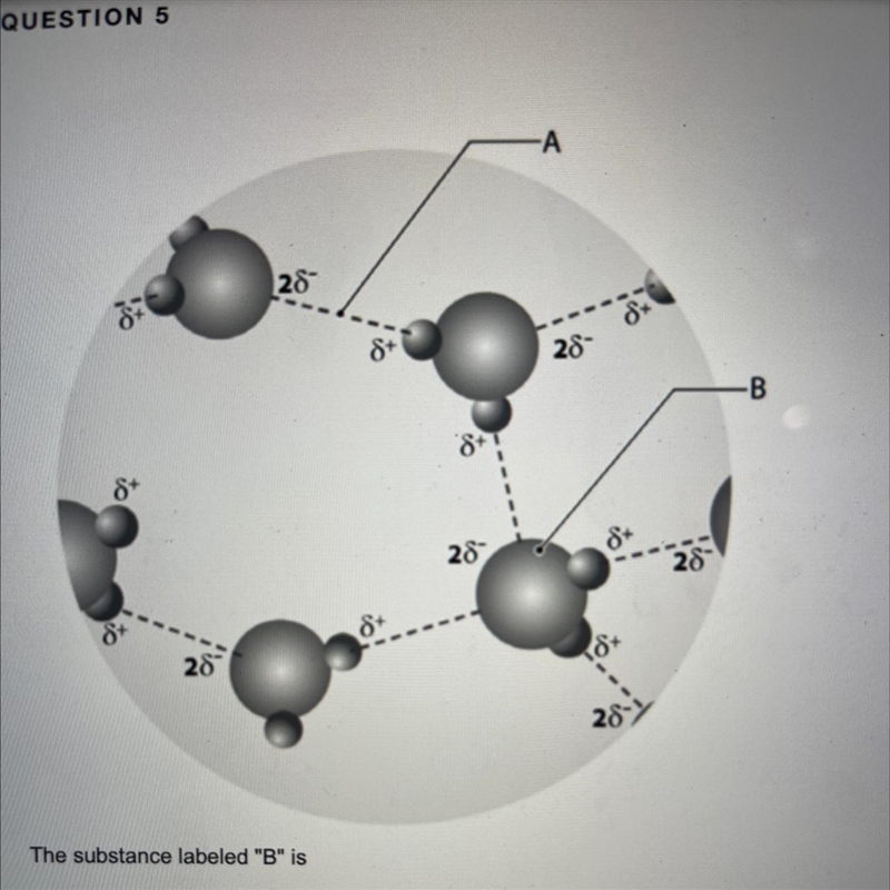 The substance labeled "B"is A. a salt B. a solute C. a carbohydrate D. a-example-1