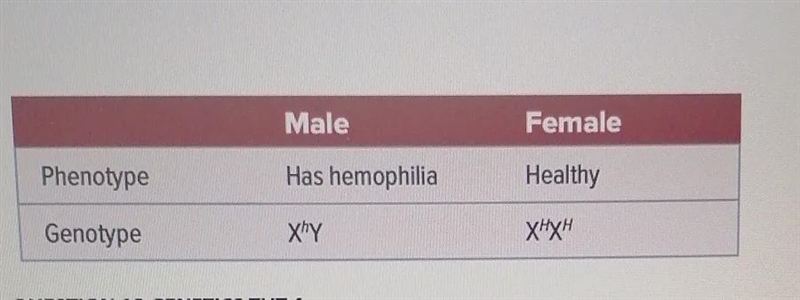 Hemophilia is caused by an x-linked recessive allele if a man who has hemophilia marries-example-1