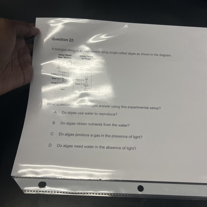 What question can the biologist answer using this experimental setup? A Do algae use-example-1